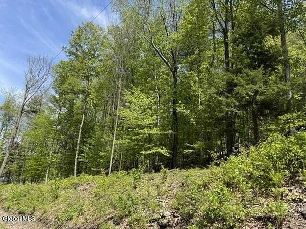 30 Acres of Land for Sale in Petersburgh Town, New York