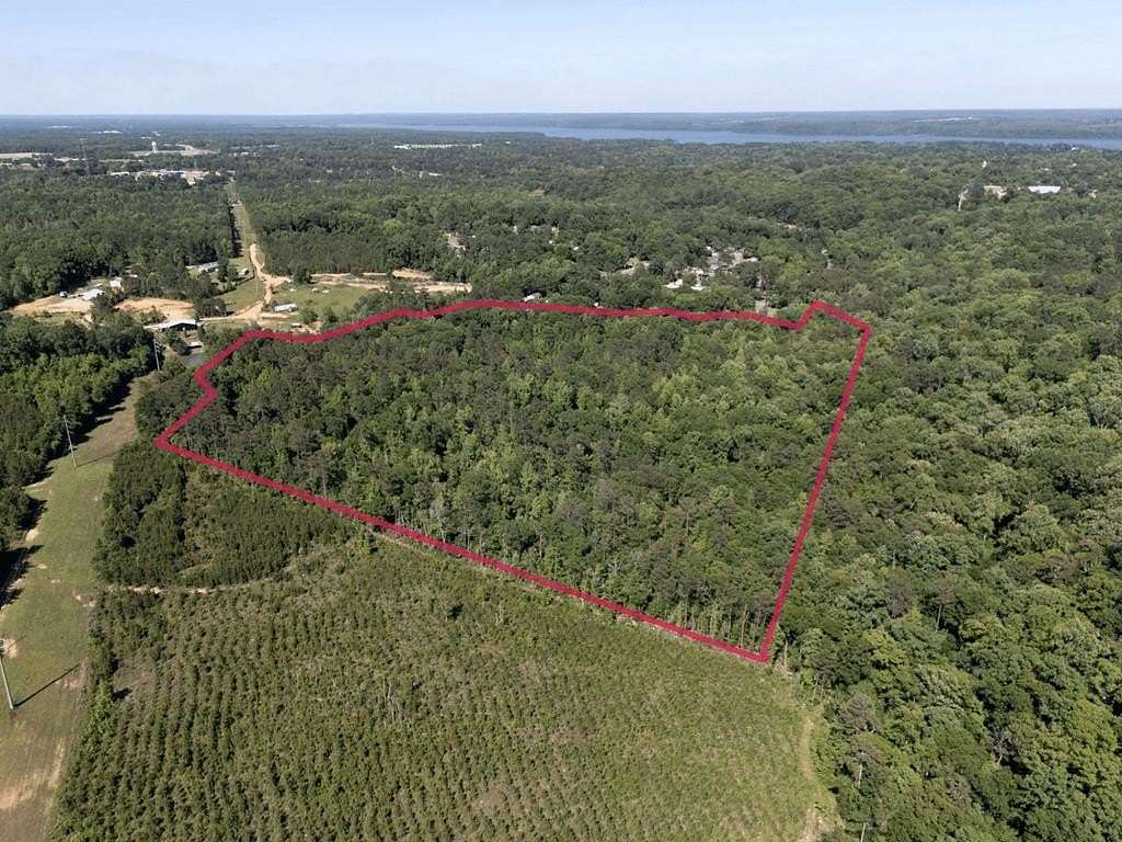 31.7 Acres of Recreational & Residential Land for Sale in Eufaula, Alabama