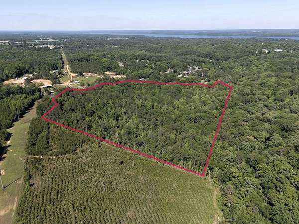 31.7 Acres of Recreational & Residential Land for Sale in Eufaula, Alabama