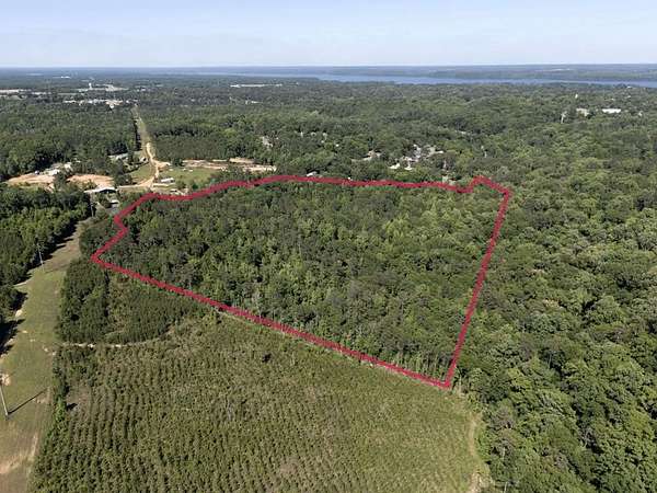 31.7 Acres of Recreational & Residential Land for Sale in Eufaula, Alabama
