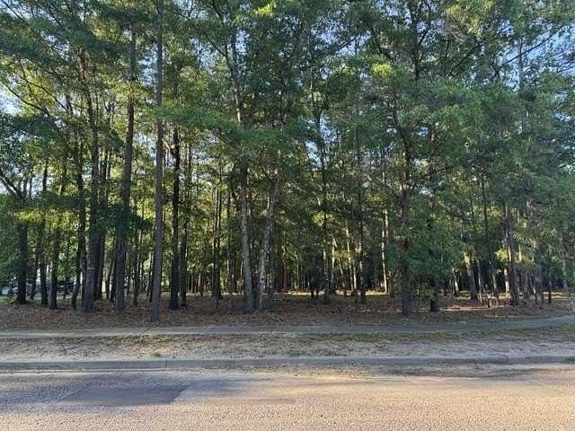 0.17 Acres of Residential Land for Sale in Georgetown, South Carolina