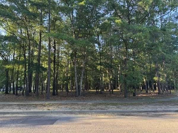 0.17 Acres of Residential Land for Sale in Georgetown, South Carolina