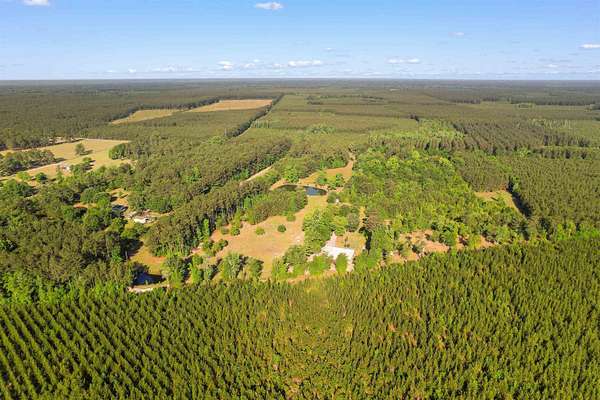 20.4 Acres of Recreational & Residential Land for Sale in Andrews, South Carolina