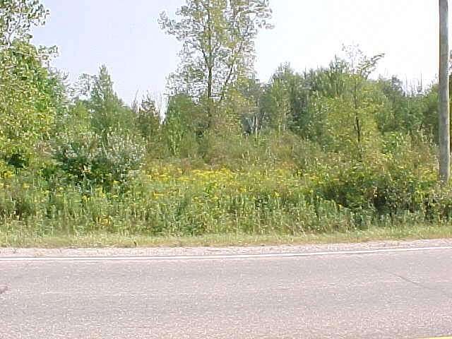 14.3 Acres of Recreational & Residential Land for Sale in Casco, Michigan