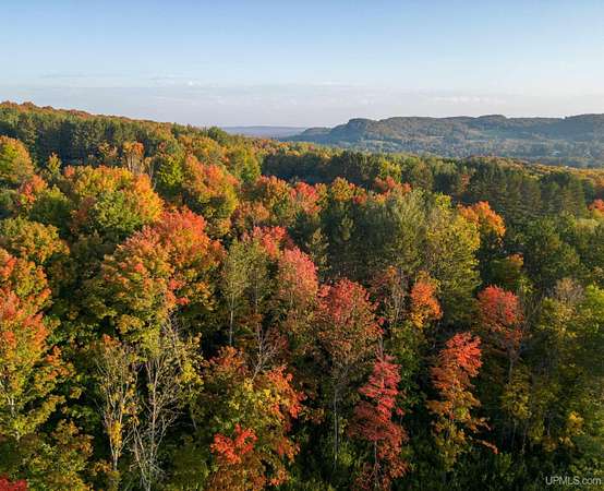 1.2 Acres of Residential Land for Sale in Bessemer, Michigan