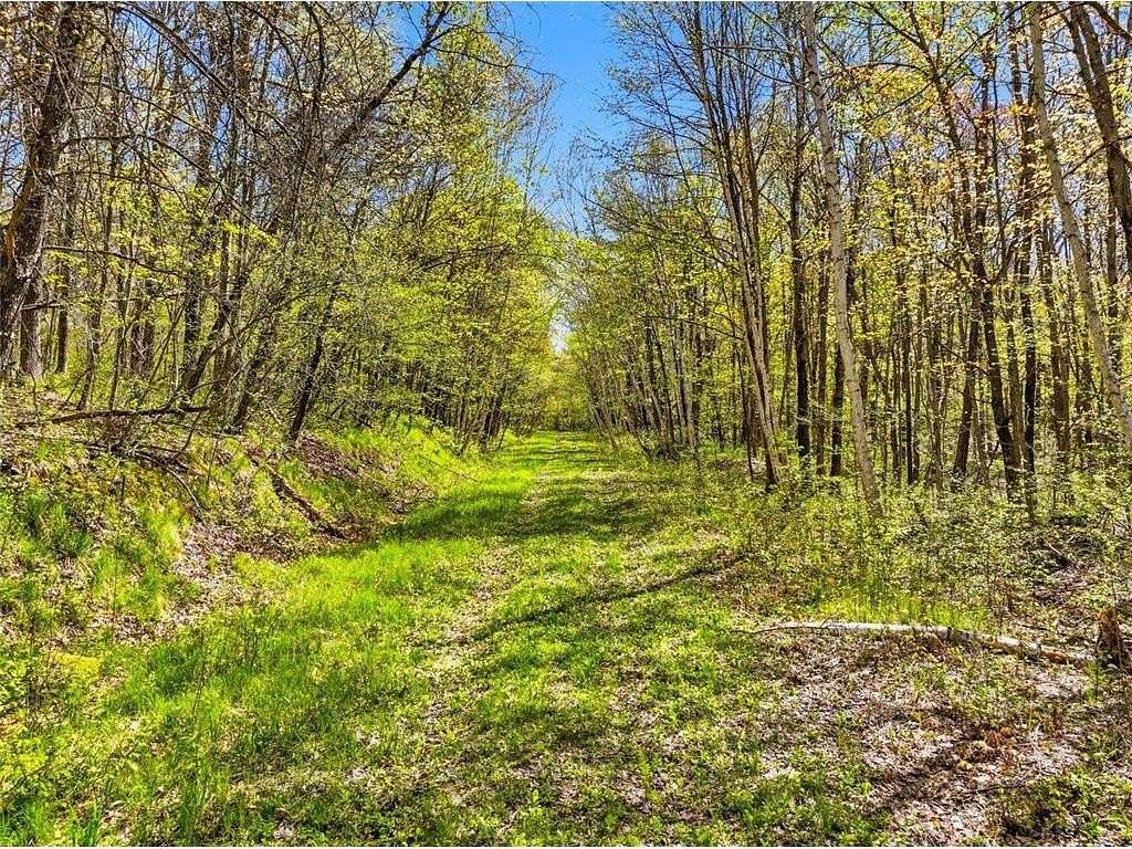 151 Acres of Recreational Land for Sale in Trego, Wisconsin