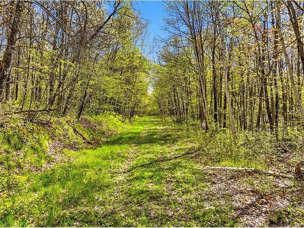 151 Acres of Recreational Land for Sale in Trego, Wisconsin