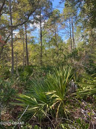 10.4 Acres of Land for Sale in Pierson, Florida