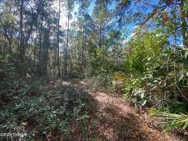 10.4 Acres of Land for Sale in Pierson, Florida