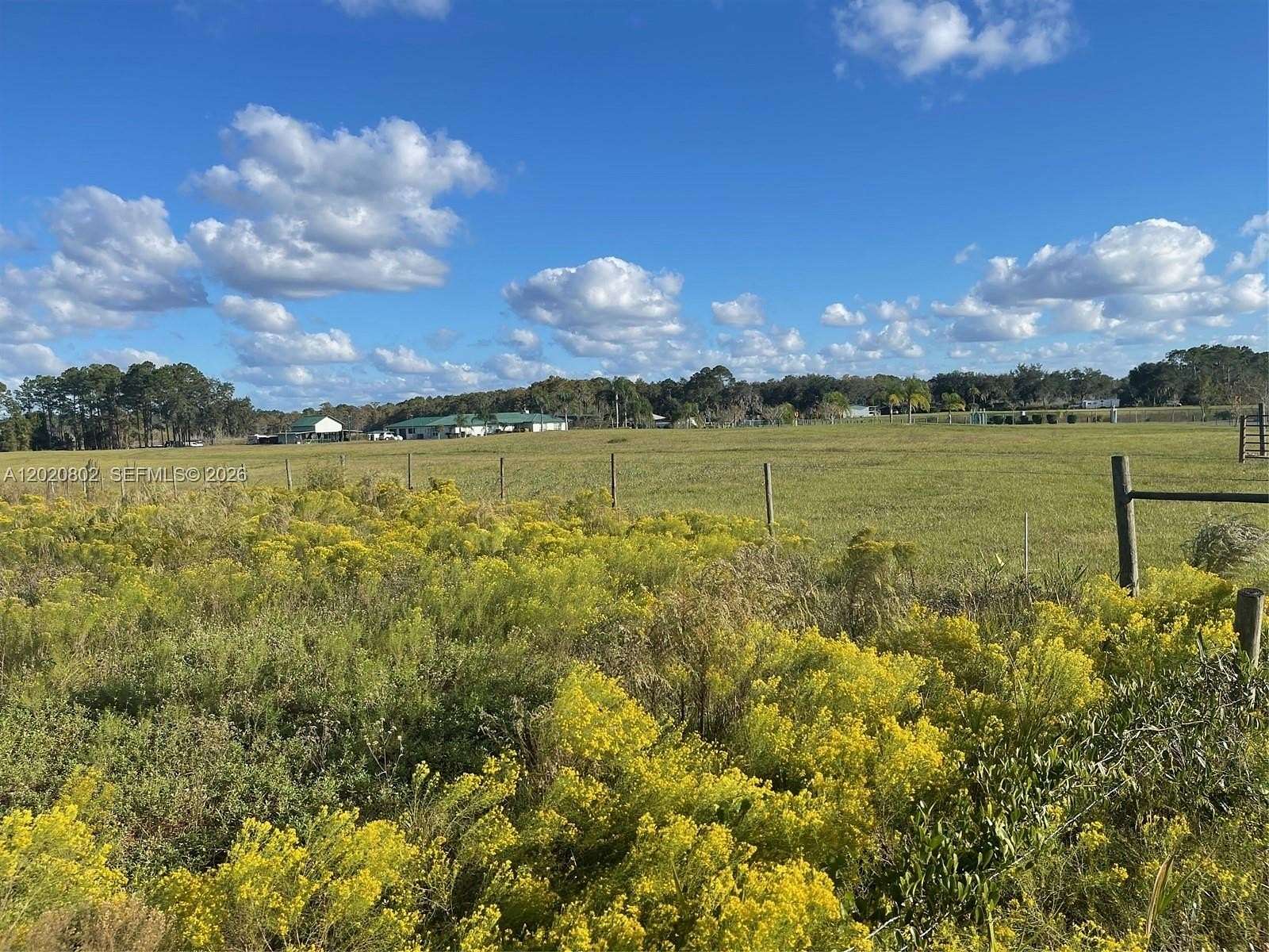 20.3 Acres of Land for Sale in Crescent City, Florida