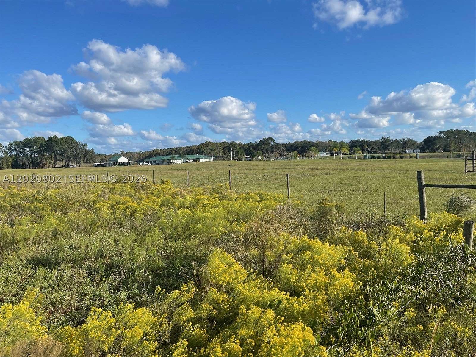 19.9 Acres of Land for Sale in Crescent City, Florida