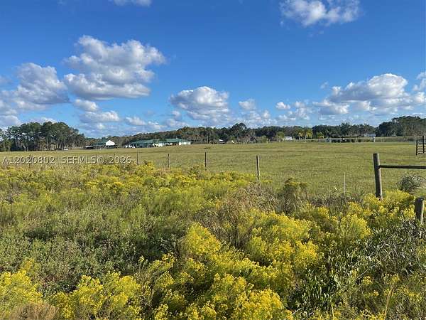 19.9 Acres of Land for Sale in Crescent City, Florida