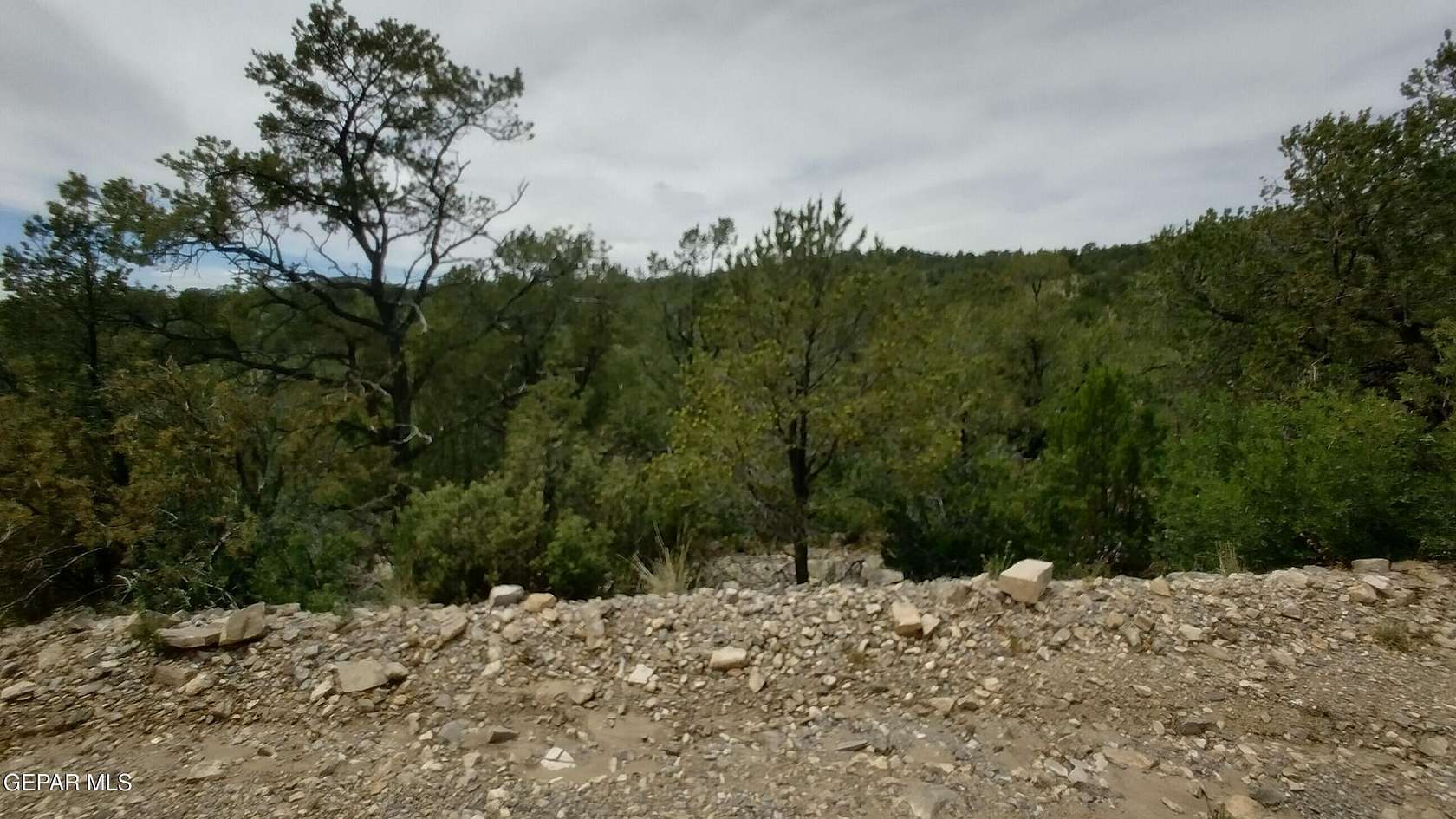 2.1 Acres of Land for Sale in Timberon, New Mexico