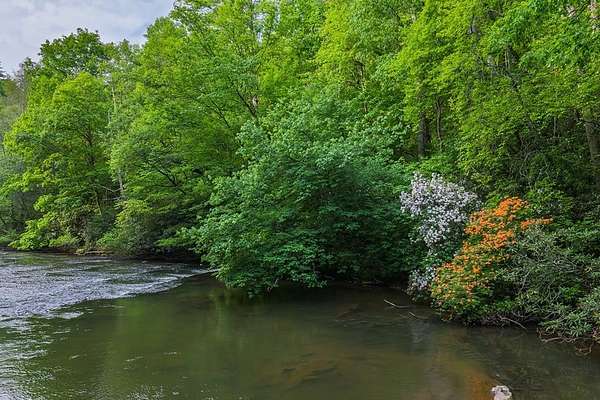 1.83 Acres of Residential Land for Sale in Ellijay, Georgia