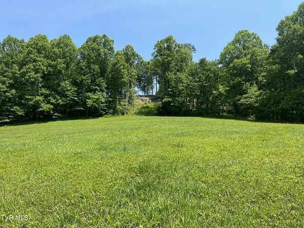 1.67 Acres of Residential Land for Sale in Butler, Tennessee
