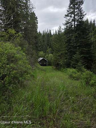 20 Acres of Recreational Land for Sale in St. Maries, Idaho