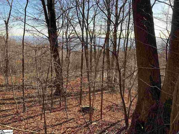 1.5 Acres of Residential Land for Sale in Landrum, South Carolina