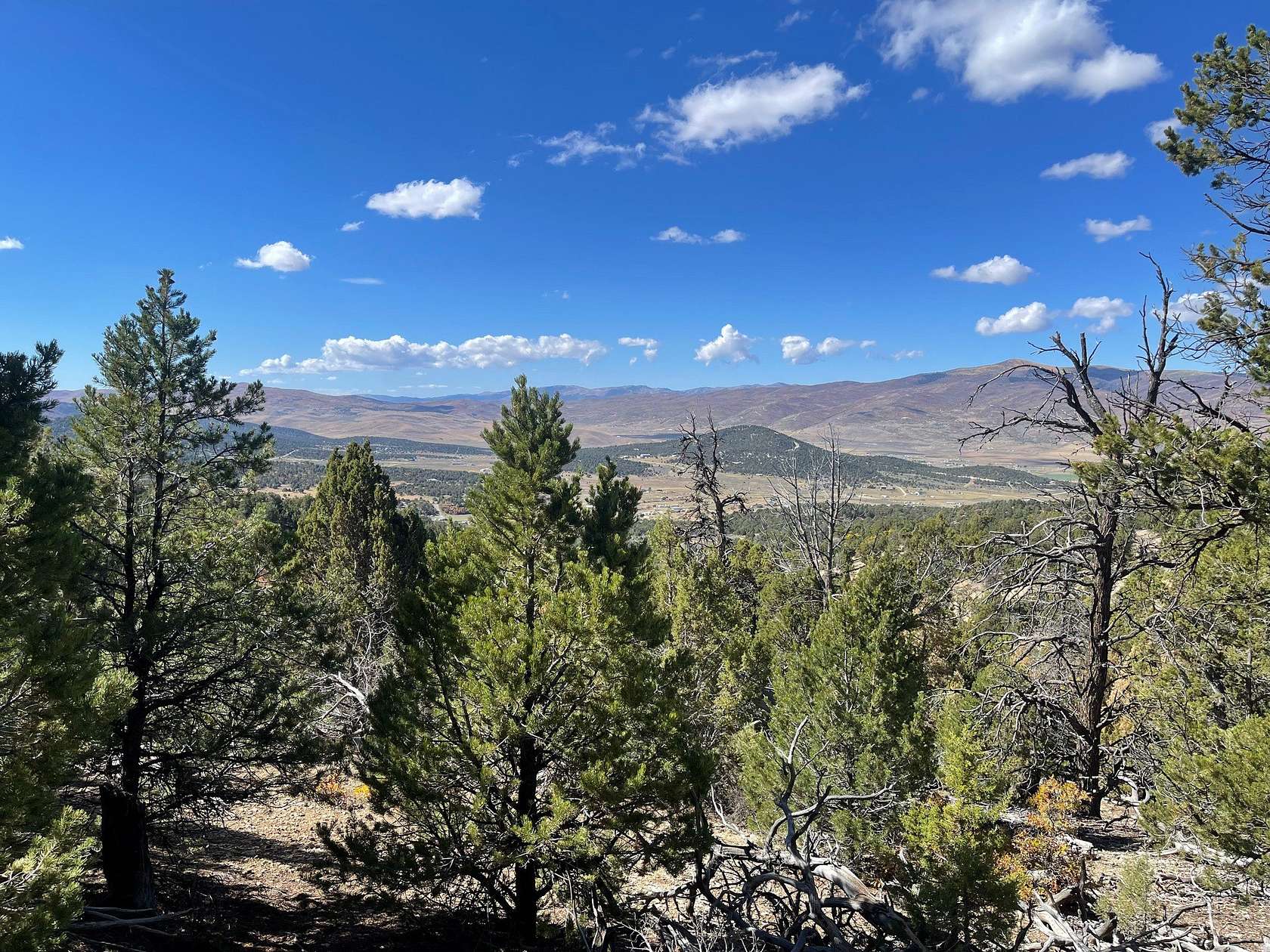 30 Acres of Land for Sale in Indianola, Utah