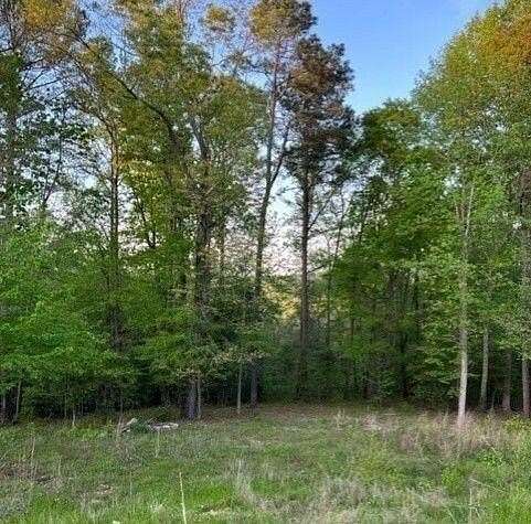2.22 Acres of Residential Land for Sale in Loganville, Georgia