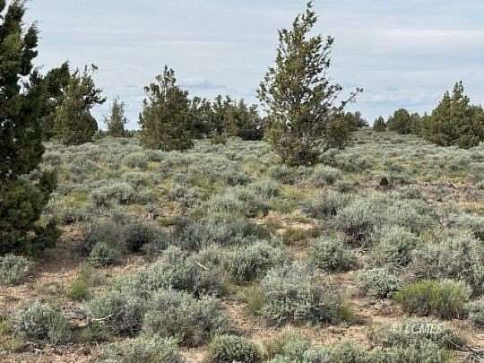 280 Acres of Land for Sale in Christmas Valley, Oregon