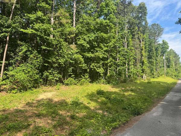 Land for Sale in Bremen, Alabama