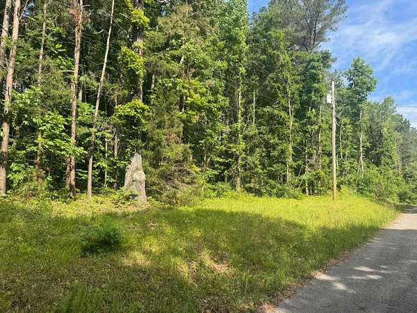 Land for Sale in Bremen, Alabama