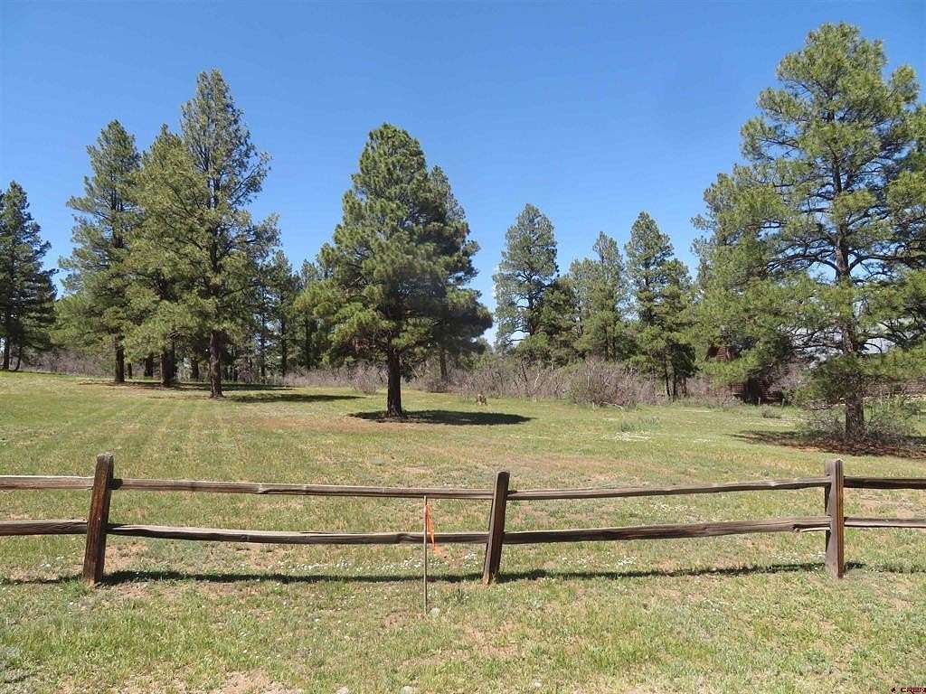 0.46 Acres of Residential Land for Sale in Pagosa Springs, Colorado