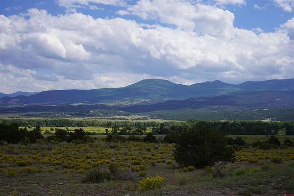 4.75 Acres of Land for Sale in South Fork, Colorado