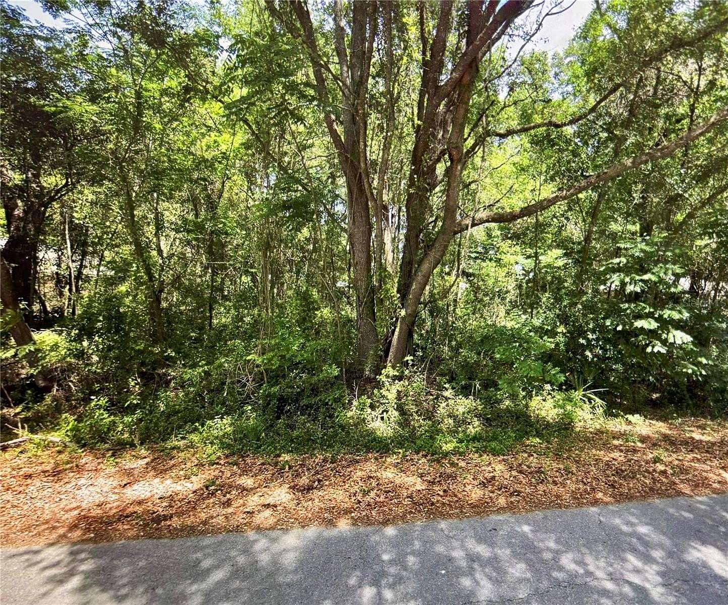 0.31 Acres of Residential Land for Sale in Ocala, Florida