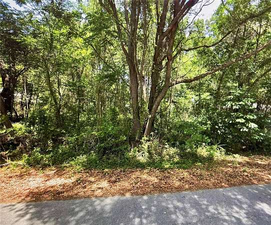 0.31 Acres of Residential Land for Sale in Ocala, Florida