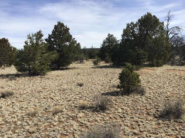 10 Acres of Recreational & Residential Land for Sale in Ramah, New Mexico