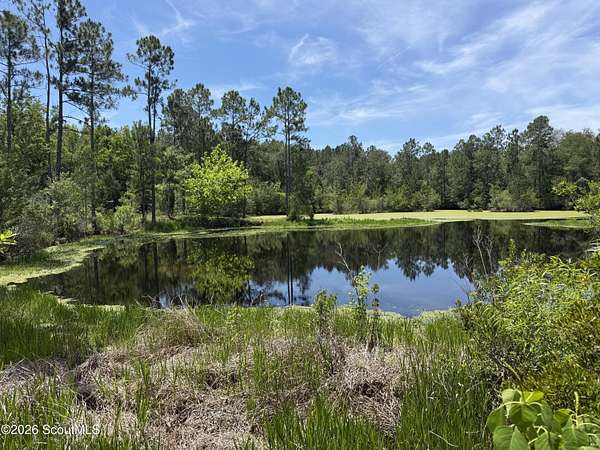 20 Acres of Land for Sale in Waycross, Georgia
