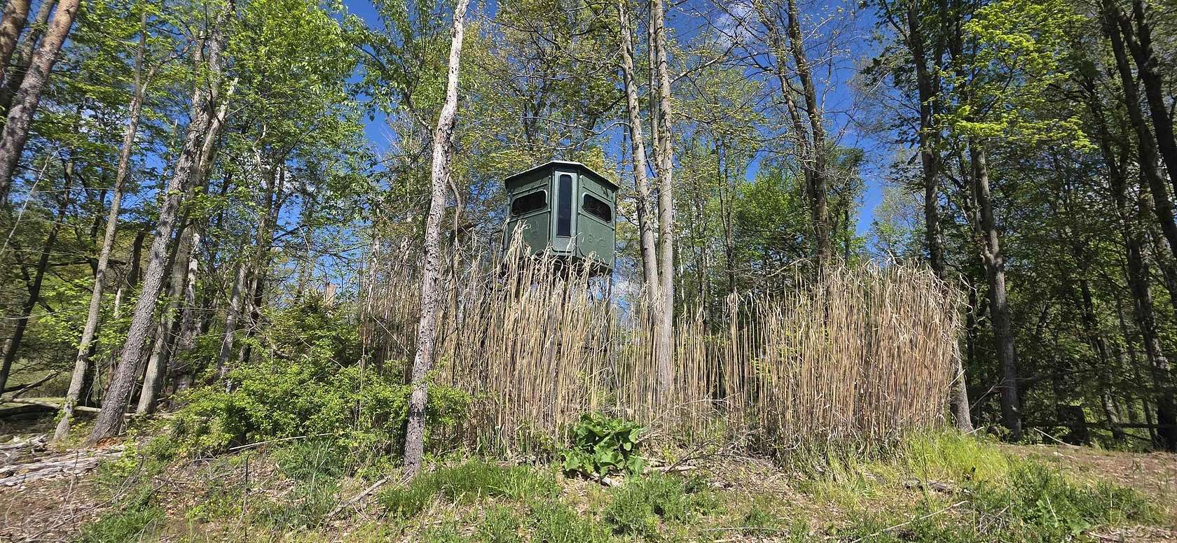 95 Acres of Recreational Land for Sale in Albion, Michigan