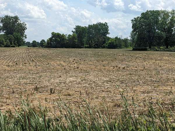 19.3 Acres of Land for Sale in Armada, Michigan