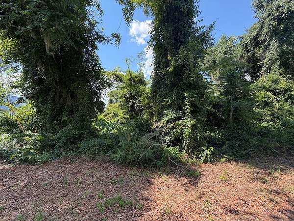 0.41 Acres of Residential Land for Sale in Lake Park, Georgia