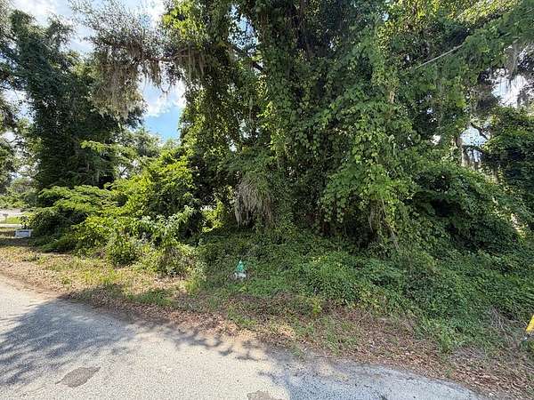 0.4 Acres of Residential Land for Sale in Lake Park, Georgia