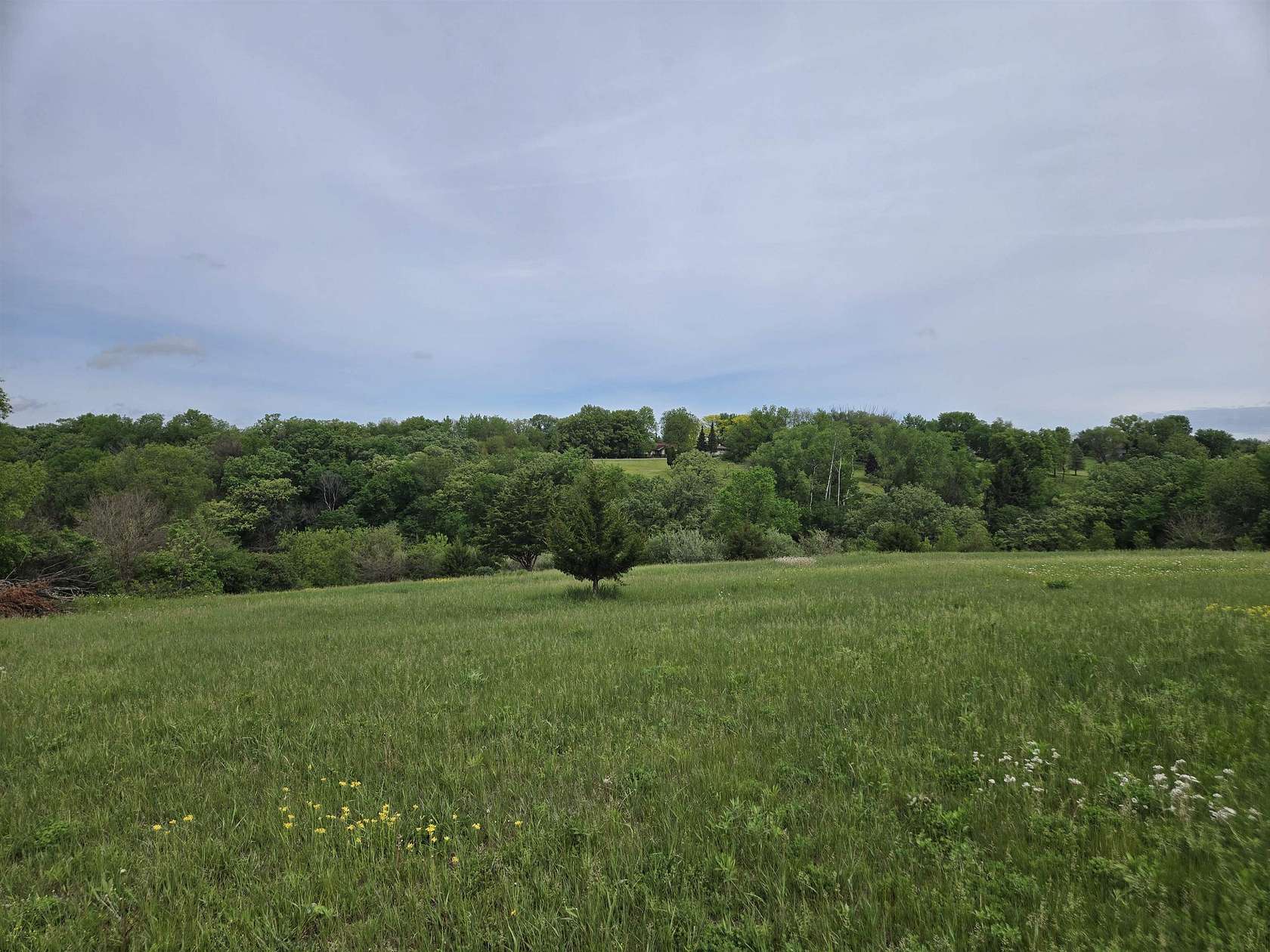 0.88 Acres of Residential Land for Sale in Apple River, Illinois