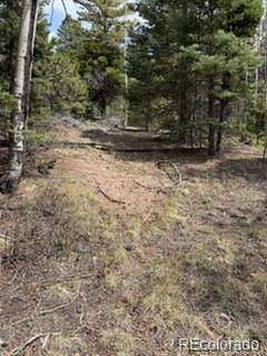 5.22 Acres of Residential Land for Sale in Fort Garland, Colorado