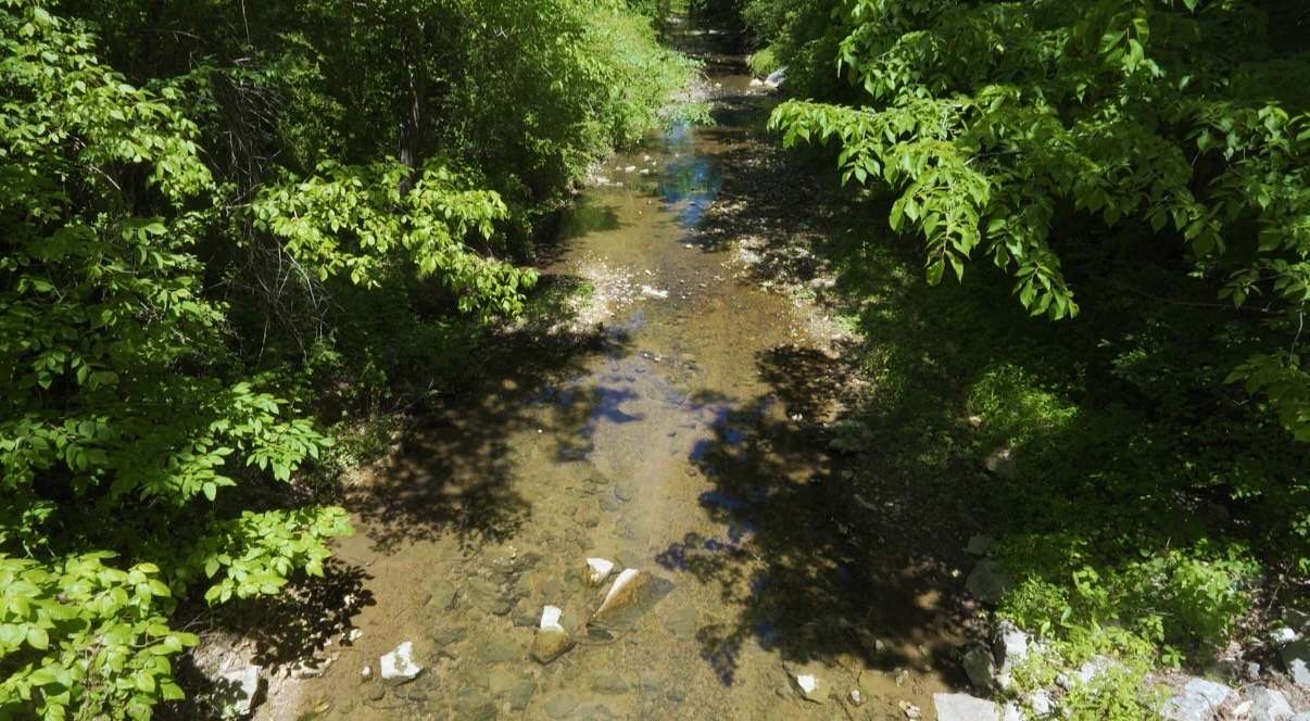 23.4 Acres of Recreational & Residential Land for Sale in Parsons, Tennessee