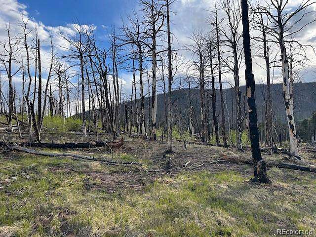 1.65 Acres of Residential Land for Sale in Fort Garland, Colorado