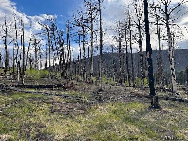 1.65 Acres of Residential Land for Sale in Fort Garland, Colorado