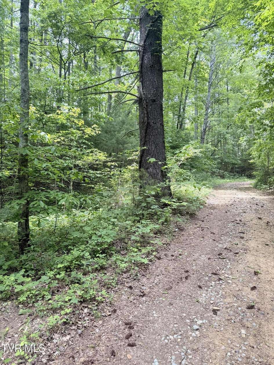 12.3 Acres of Land for Sale in Del Rio, Tennessee