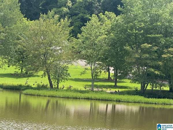 15.7 Acres of Land with Home for Sale in Morris, Alabama