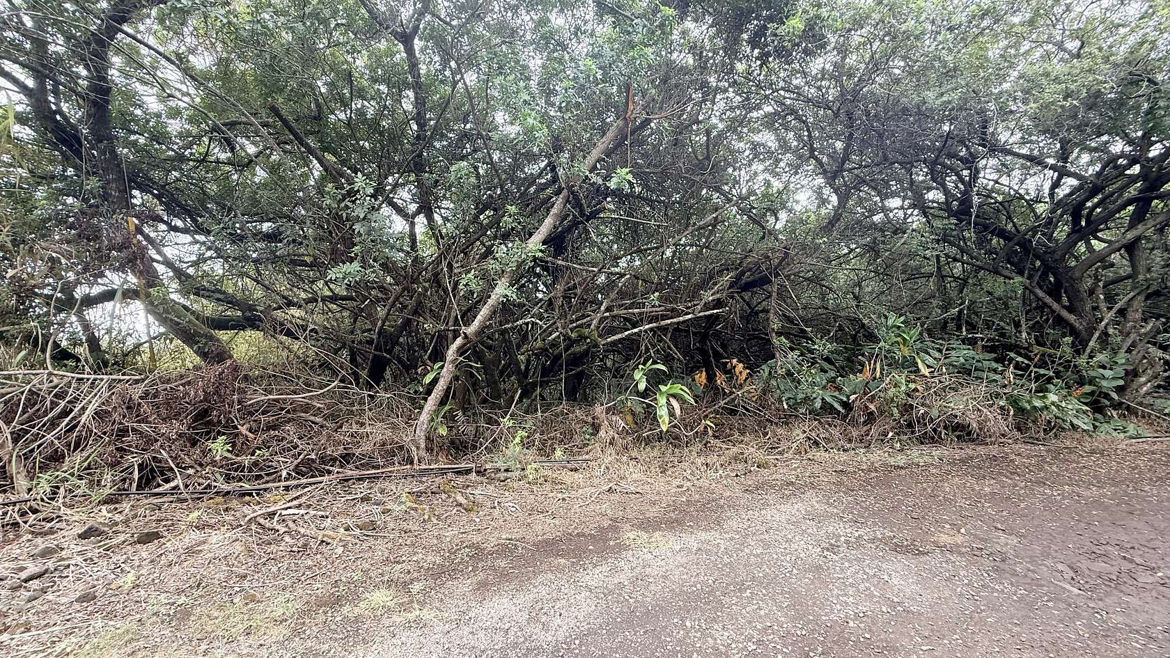 0.78 Acres of Land for Sale in Kealakekua, Hawaii