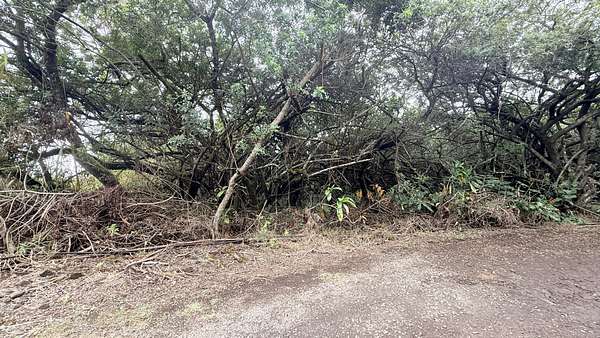 0.78 Acres of Land for Sale in Kealakekua, Hawaii