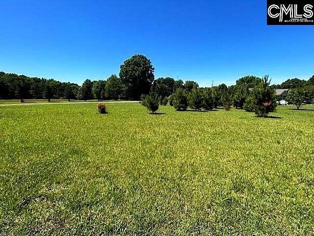 0.91 Acres of Land for Sale in Chapin, South Carolina