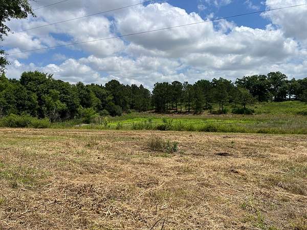 9 Acres of Residential Land for Sale in Newville, Alabama