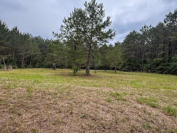 14 Acres of Recreational Land with Home for Sale in New Waverly, Texas