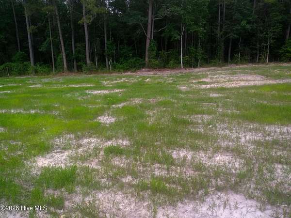 45.8 Acres of Land for Sale in La Grange, North Carolina
