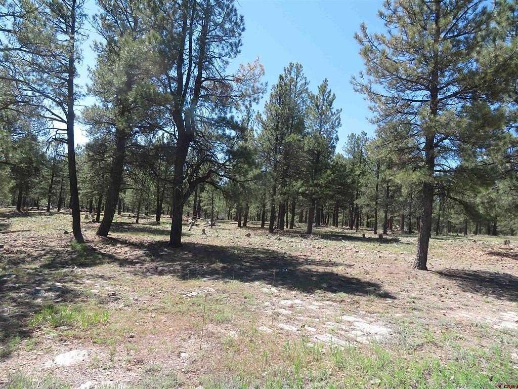 0.23 Acres of Land for Sale in Pagosa Springs, Colorado
